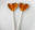 pandoraspops.com