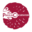 pangolinconservation.org