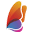 papillon.com