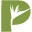 paradisedesigns-inc.com