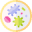 parazitiintestinali.com
