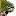 parrotpages.com