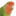 parrotparrot.com