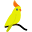 parrotsecrets.com