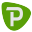 parsich.com