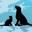 pawspettravel.com