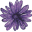 peacefulpillhandbook.com