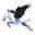 pegasus.portal.nom.br