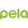 pelacase.com