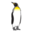 penguin-news.com