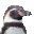 penguintutor.com