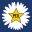 peoillinois.org