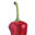 pepperprint.com