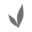 perpetuityskin.com