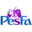 pesfa.com