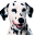 pet-centar.rs