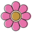 petalosfloral.com