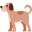 petfly.in