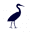 petitnord.com