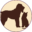 petspasandsuites.com