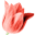 pflegeoverall24.de