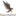 phalconhost.com