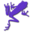 phibian.com