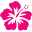 phitenhawaii.com