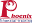phoenixft.com