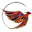 phoenixliquidation.ca
