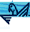 phoenixsvs.com