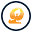 phoenixtechnologyit.com