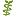 phytodoc.de