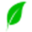 phytoil.com.tr