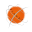 piagetacademy.org