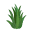 piantaaloe.it