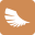 pidgi.net
