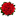 pinasflowers.com