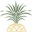 pineapple-pr.com