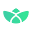 pinegraph.com