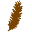 pineshealth.org