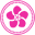 pinkbox.ch