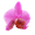 pinkorchidfashion.com