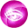 pinkvisionassociates.com