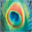pipi.co.uk
