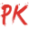 pkinstitute.com.pk