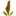 plands.org