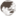 planetakovrov.com