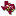 plantanswers.com