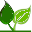 plantmania.ru